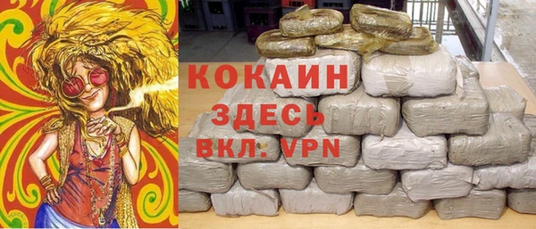 шишки Гусь-Хрустальный