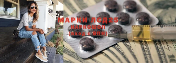 spice Гусев